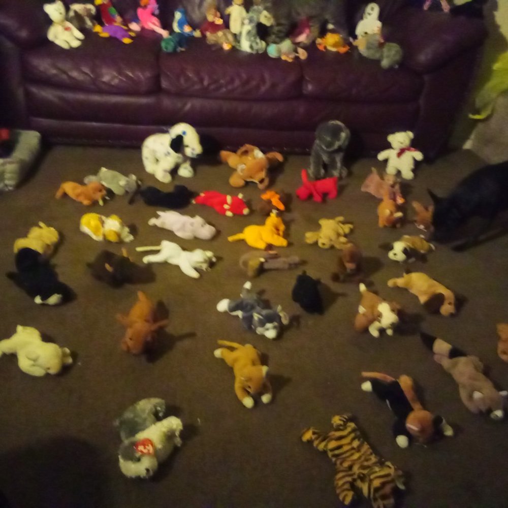 Rare and retired original Beanie babies - Picture 8 of 11
